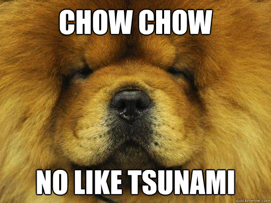 chow chow no like tsunami