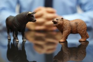 Bull vs Bear